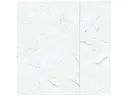 Carrara Variation