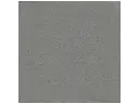Mica Variation