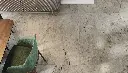 La Marca, Paradiso Argento