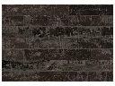 Charred image variation