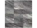 Evolution, Carbon Variation