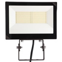 Multi-Voltage Flood Light – 120W