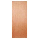 Fire Rated Wood Door