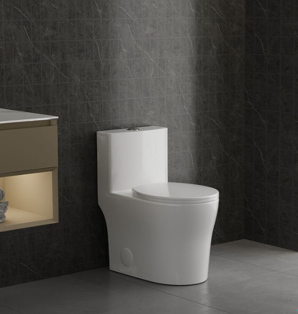 One-Piece Toilet With Round Bowl and Dual Flush 
