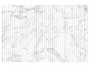 Anatolia | Raffino, Matte Glazed Ceramic | Wall Tiles 