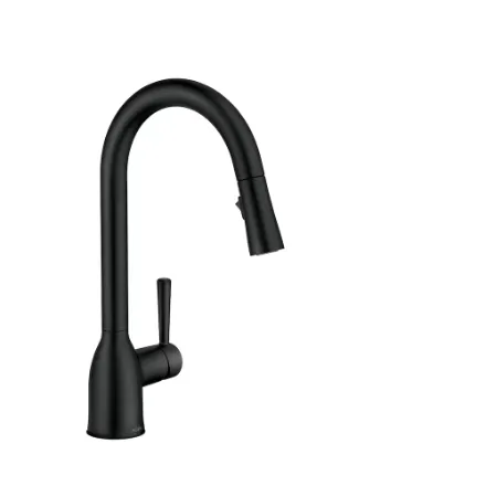 Adler Kitchen Faucet in Matte Black