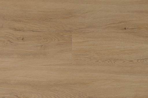 TORLYS Marquee Vinyl - Olympic 3