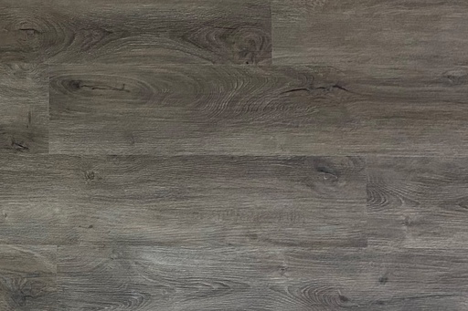 TORLYS Marquee Vinyl - Stadium