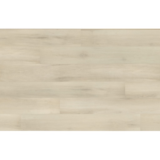 TORLYS Marquee Vinyl - Arena