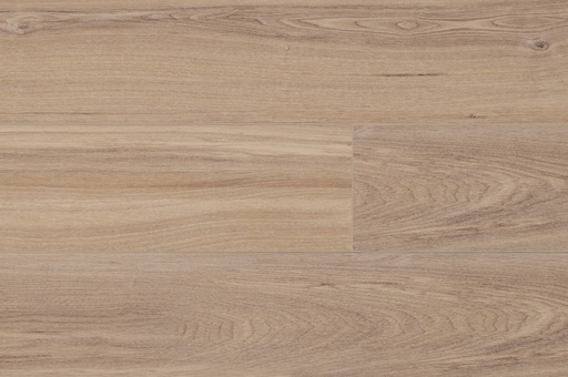 TORLYS Vinyl - RigidWood Firm Vista