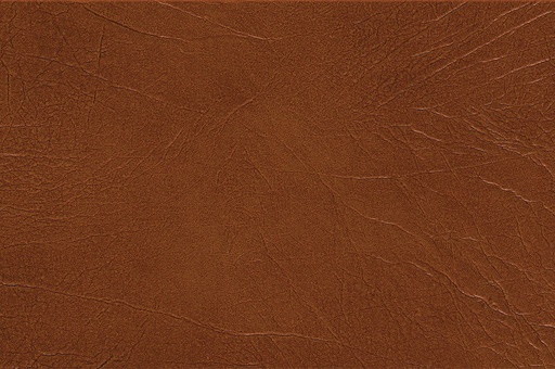TORLYS Leather Plank