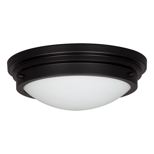 12" 2-LED Flush Mount